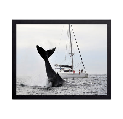 Tale Of A Whale
