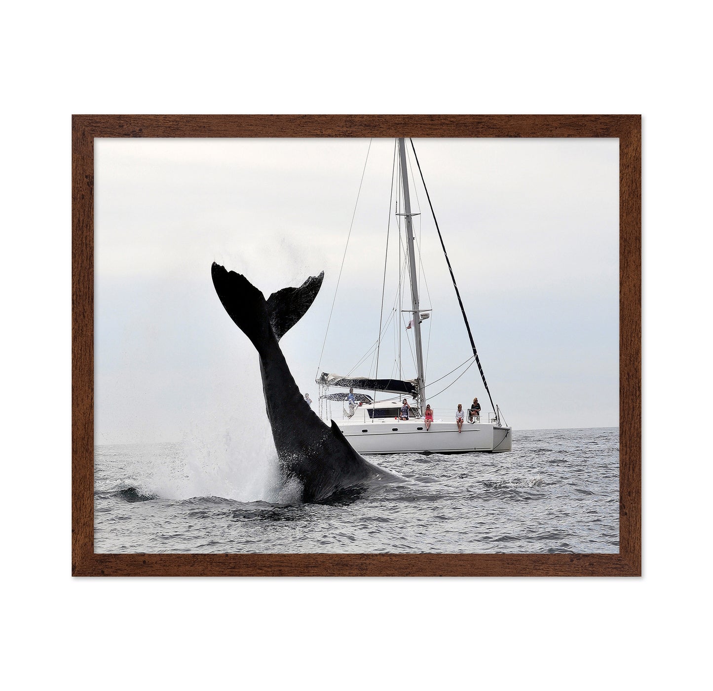 Tale Of A Whale