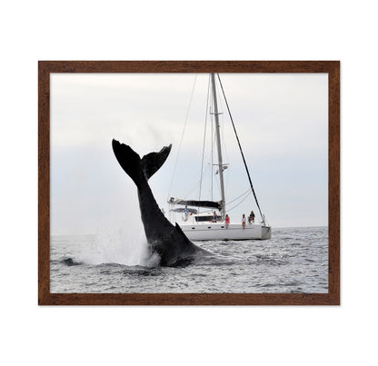 Tale Of A Whale