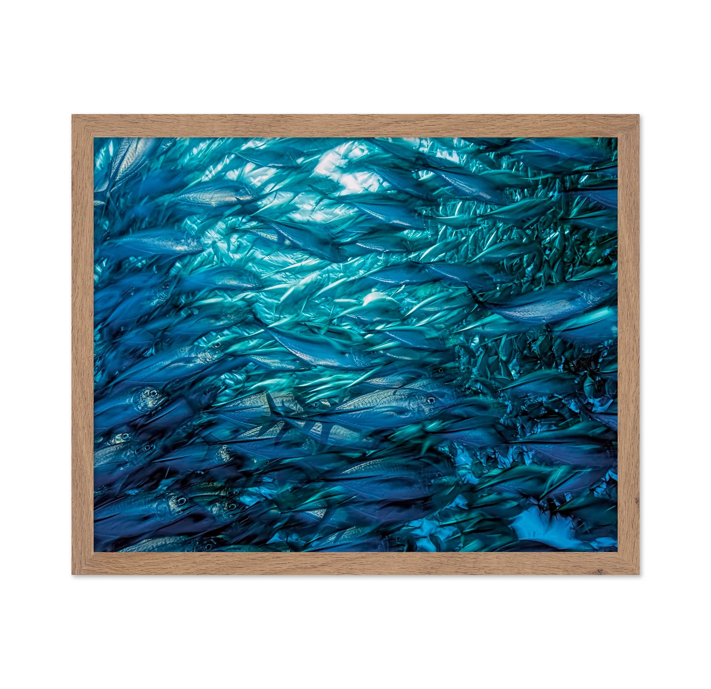 Fast Moving School Of Jacks