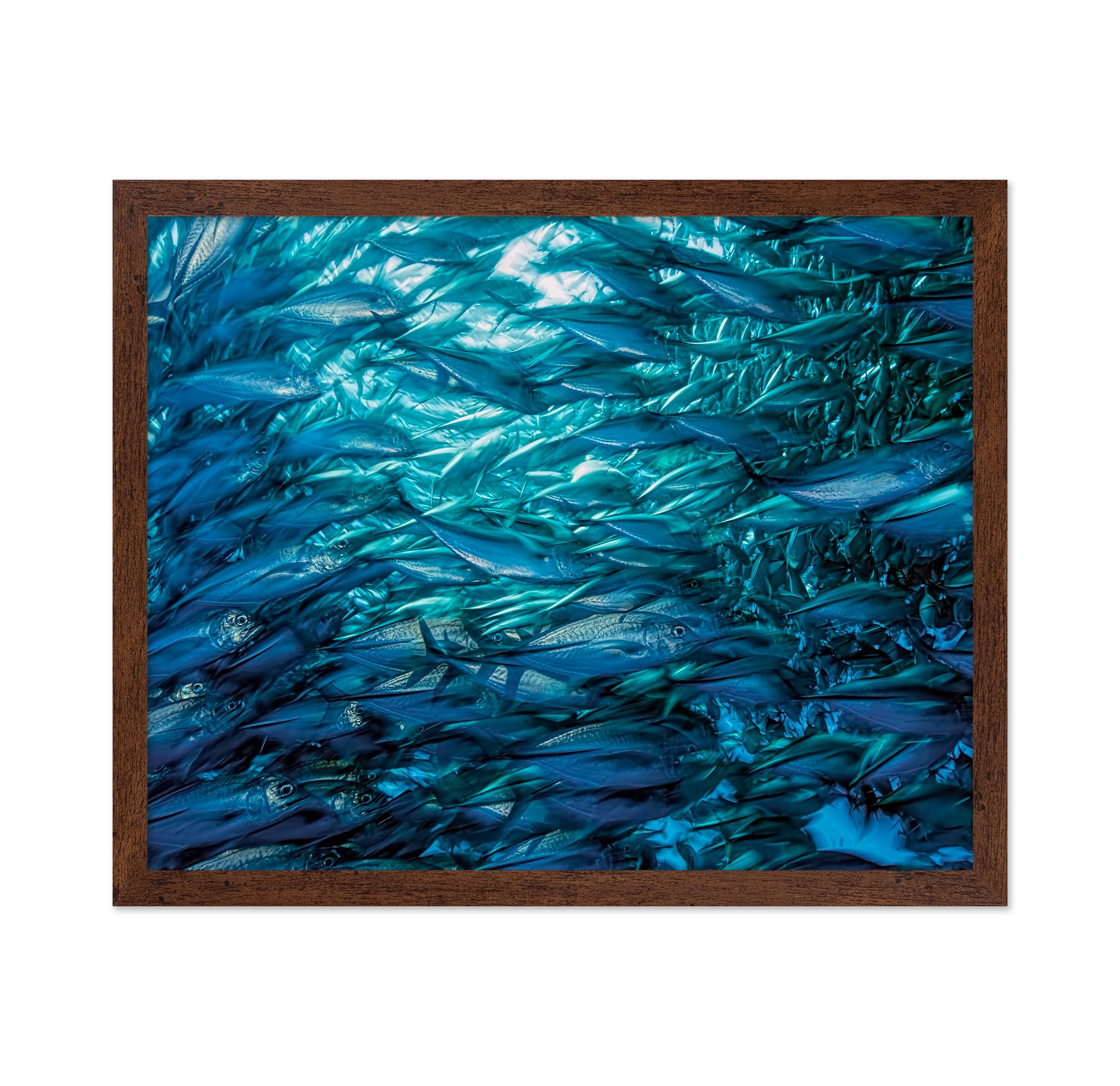 Fast Moving School Of Jacks