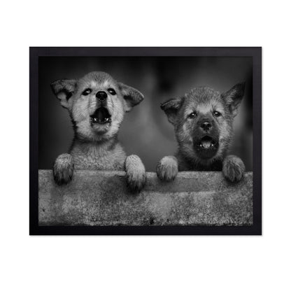Wolf Puppies
