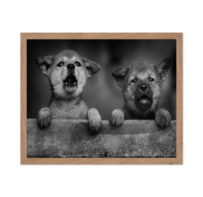 Wolf Puppies