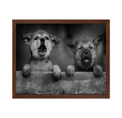 Wolf Puppies