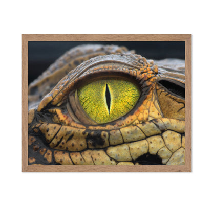 Crocodile's Eye