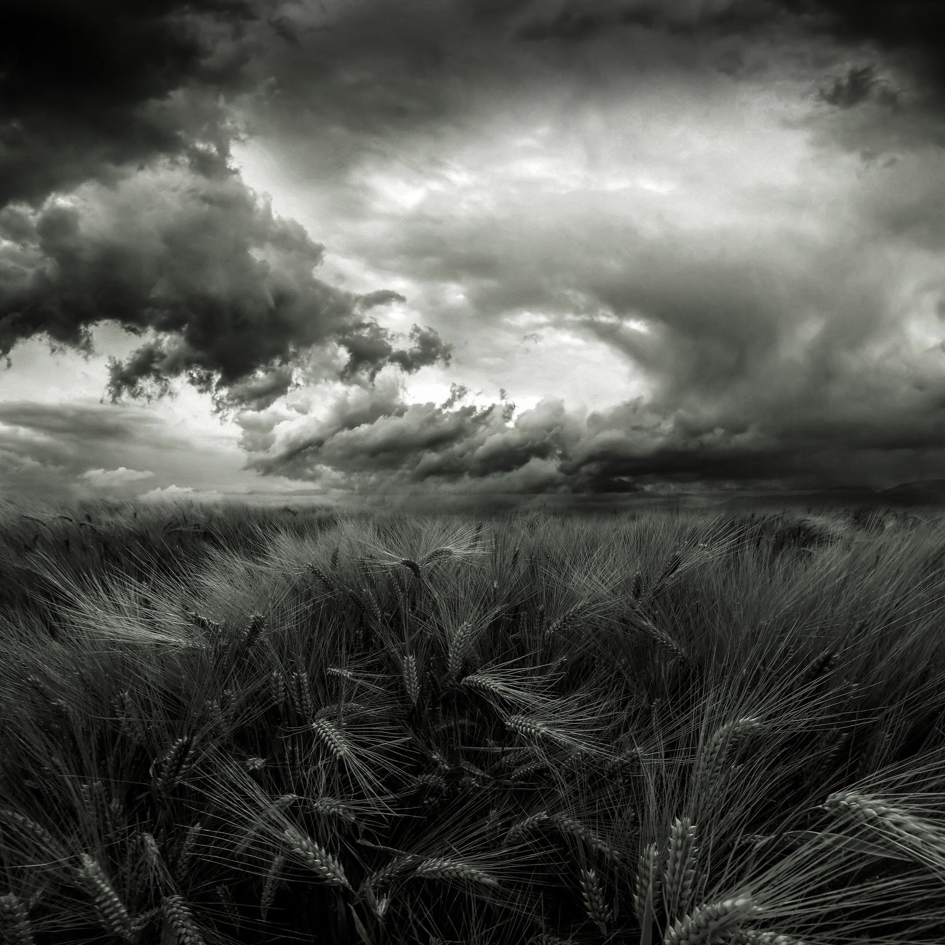 After the Storm