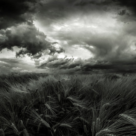 After the Storm