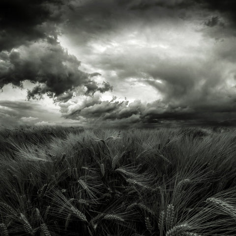 After the Storm