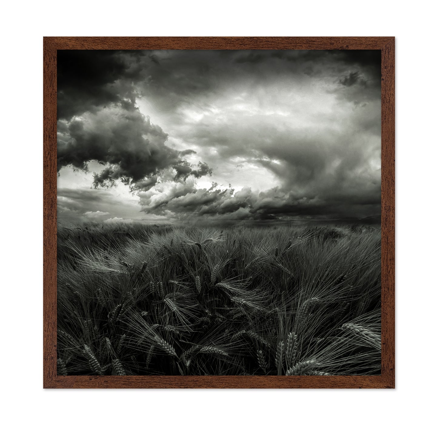 After the Storm
