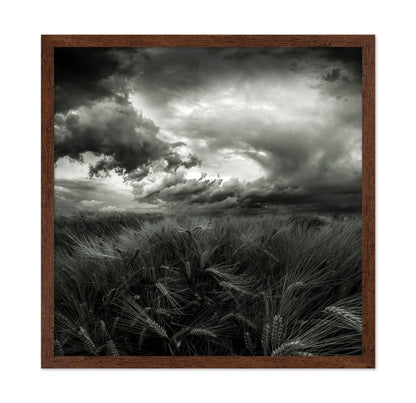 After the Storm