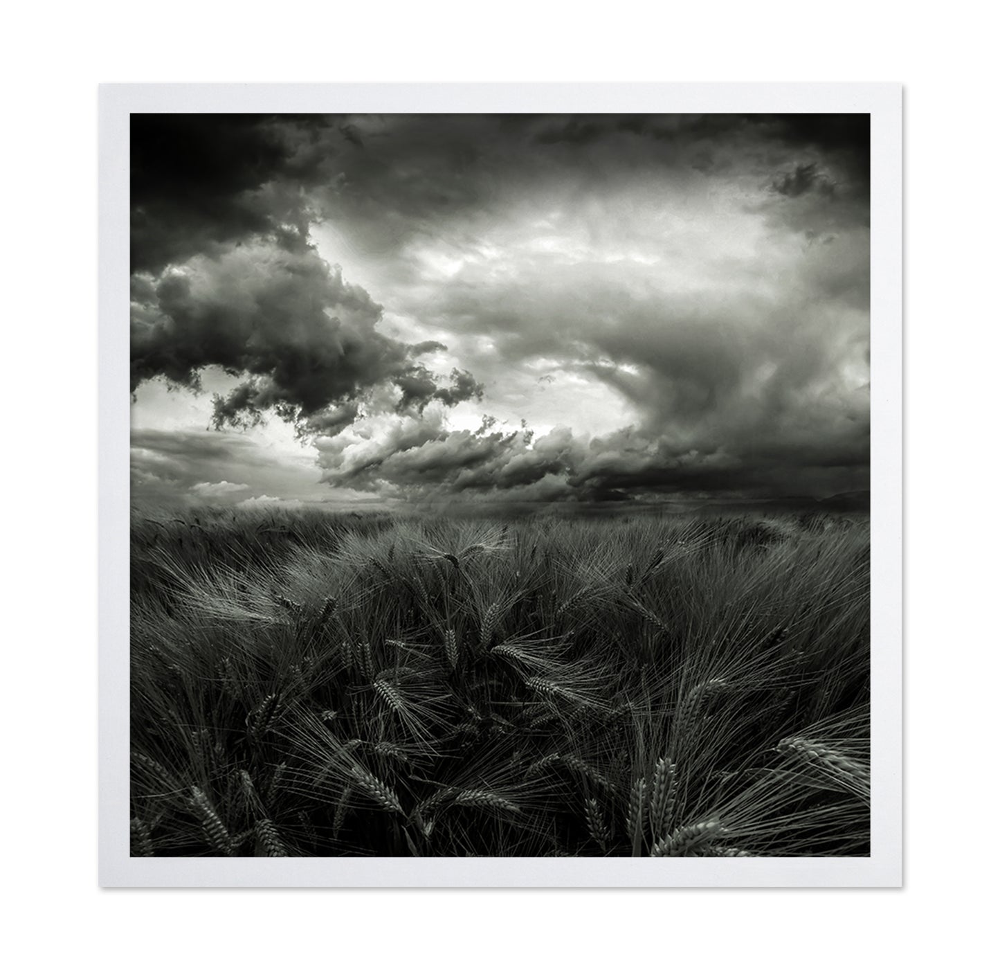 After the Storm