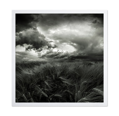 After the Storm
