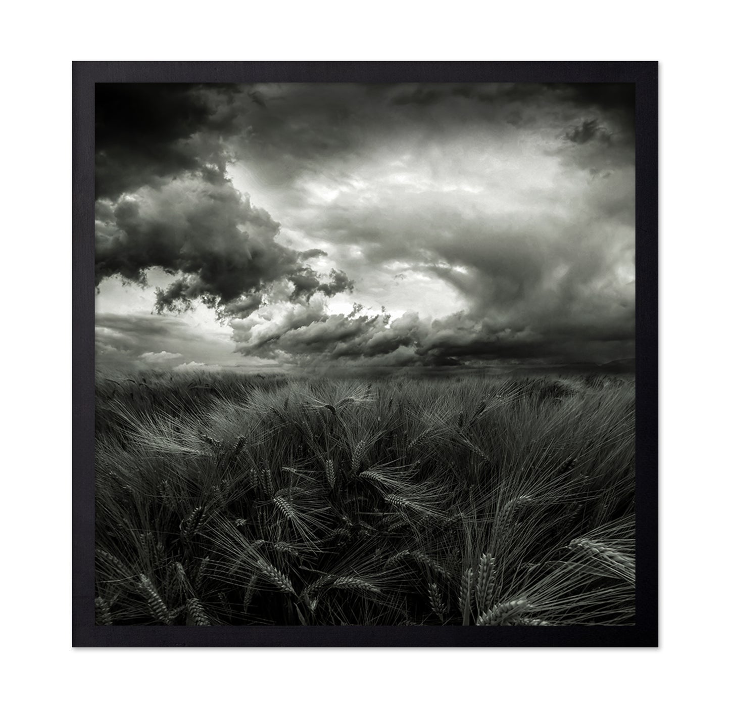 After the Storm