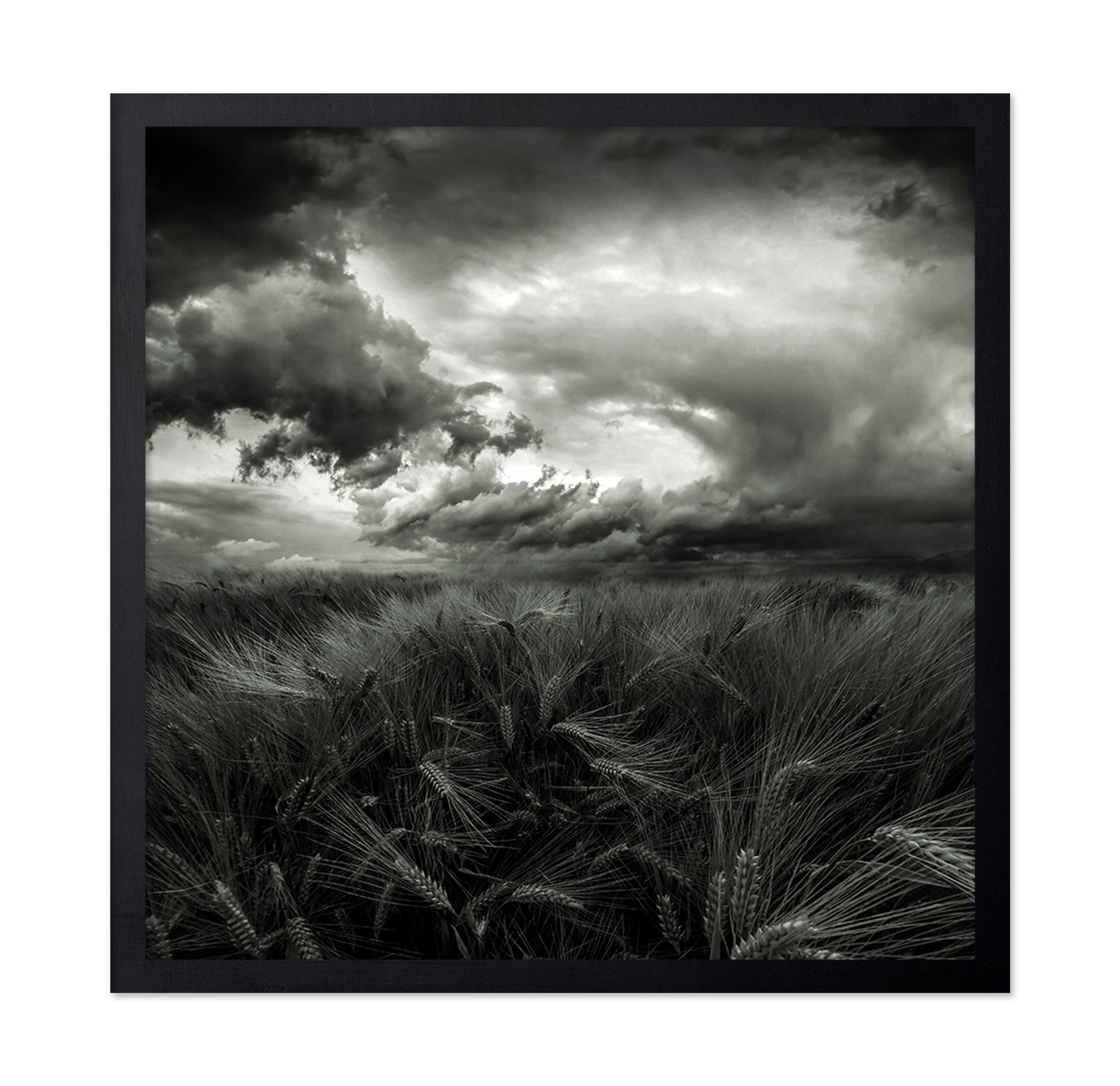 After the Storm