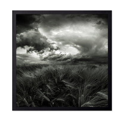 After the Storm