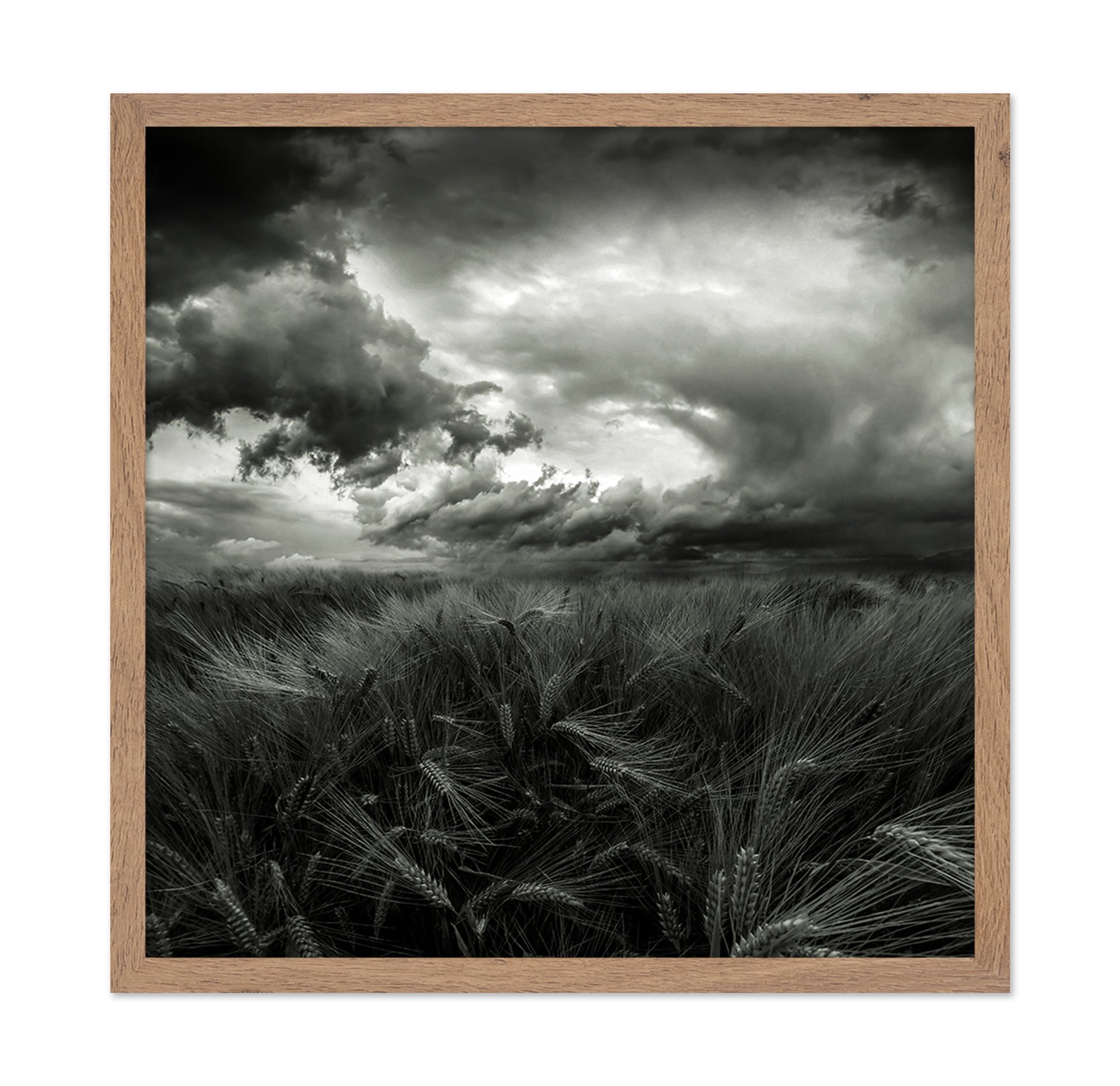 After the Storm