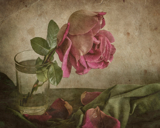 Tear Of Rose