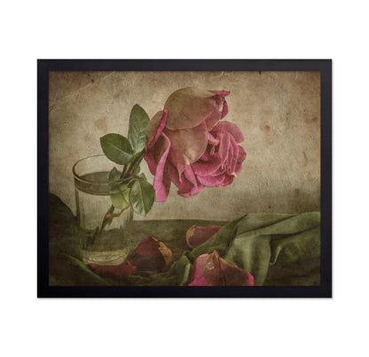 Tear Of Rose