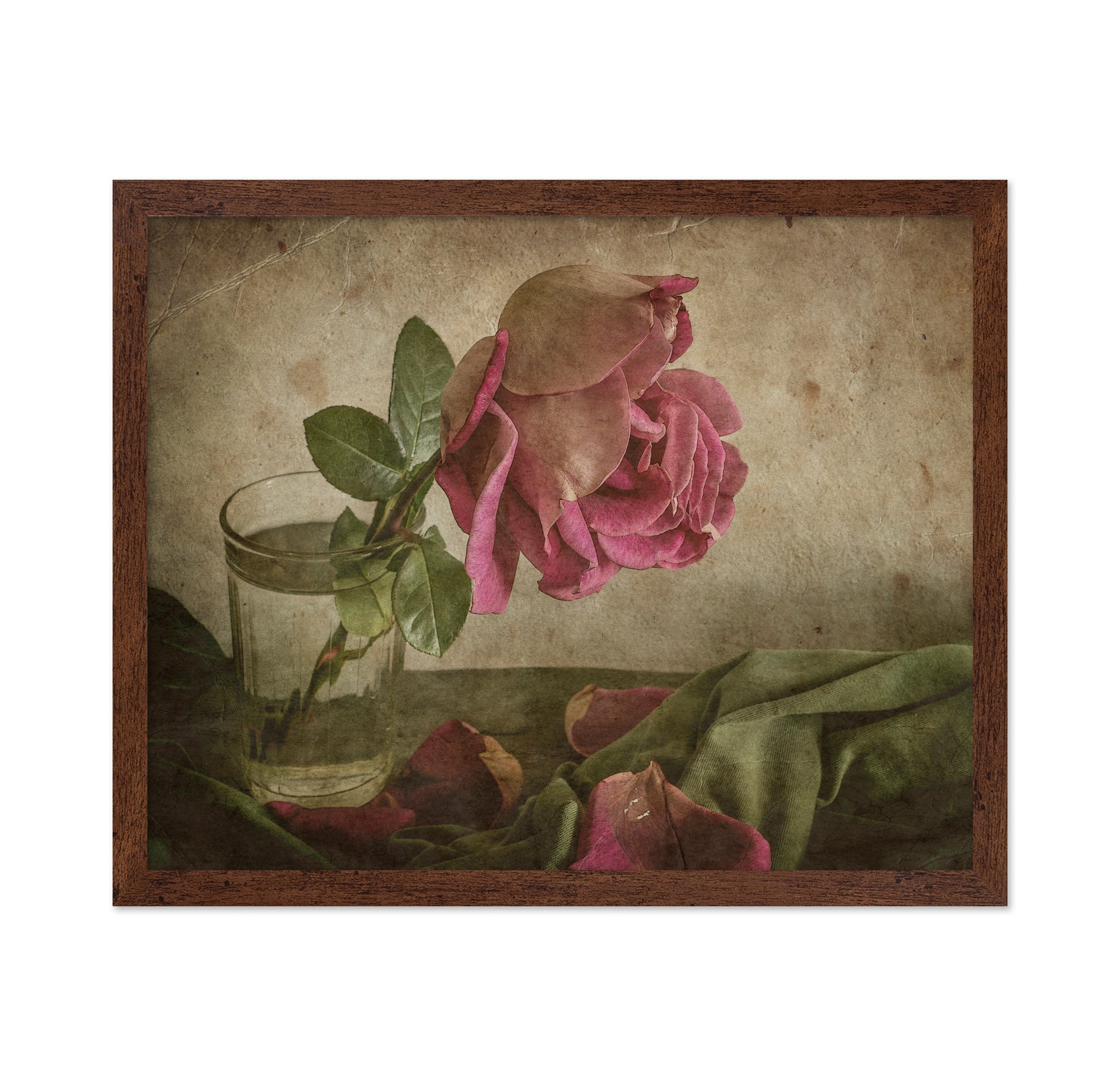 Tear Of Rose