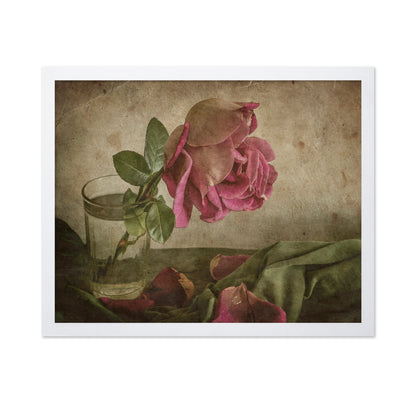 Tear Of Rose