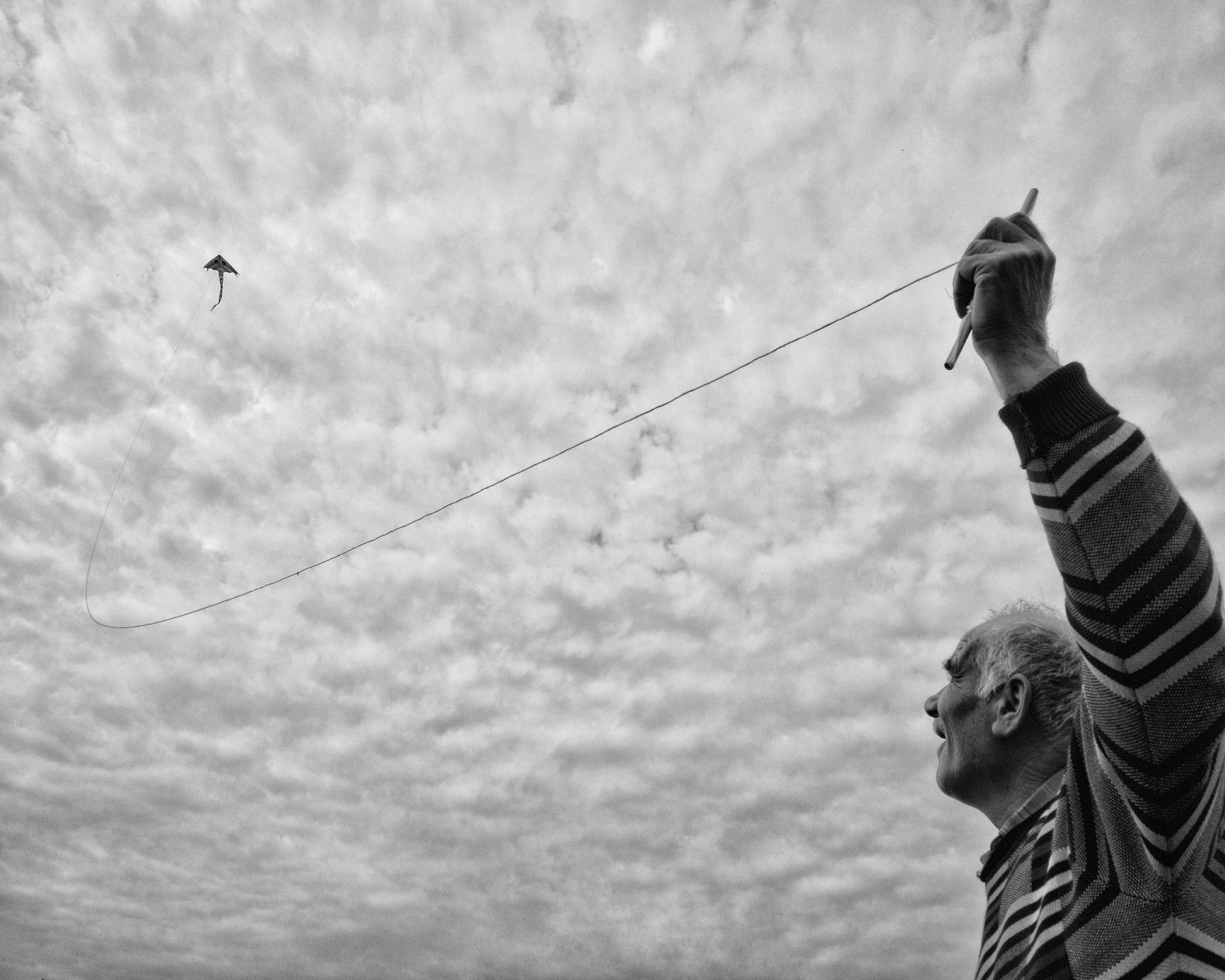 Freedom No 3