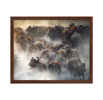 Herd
