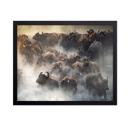 Herd
