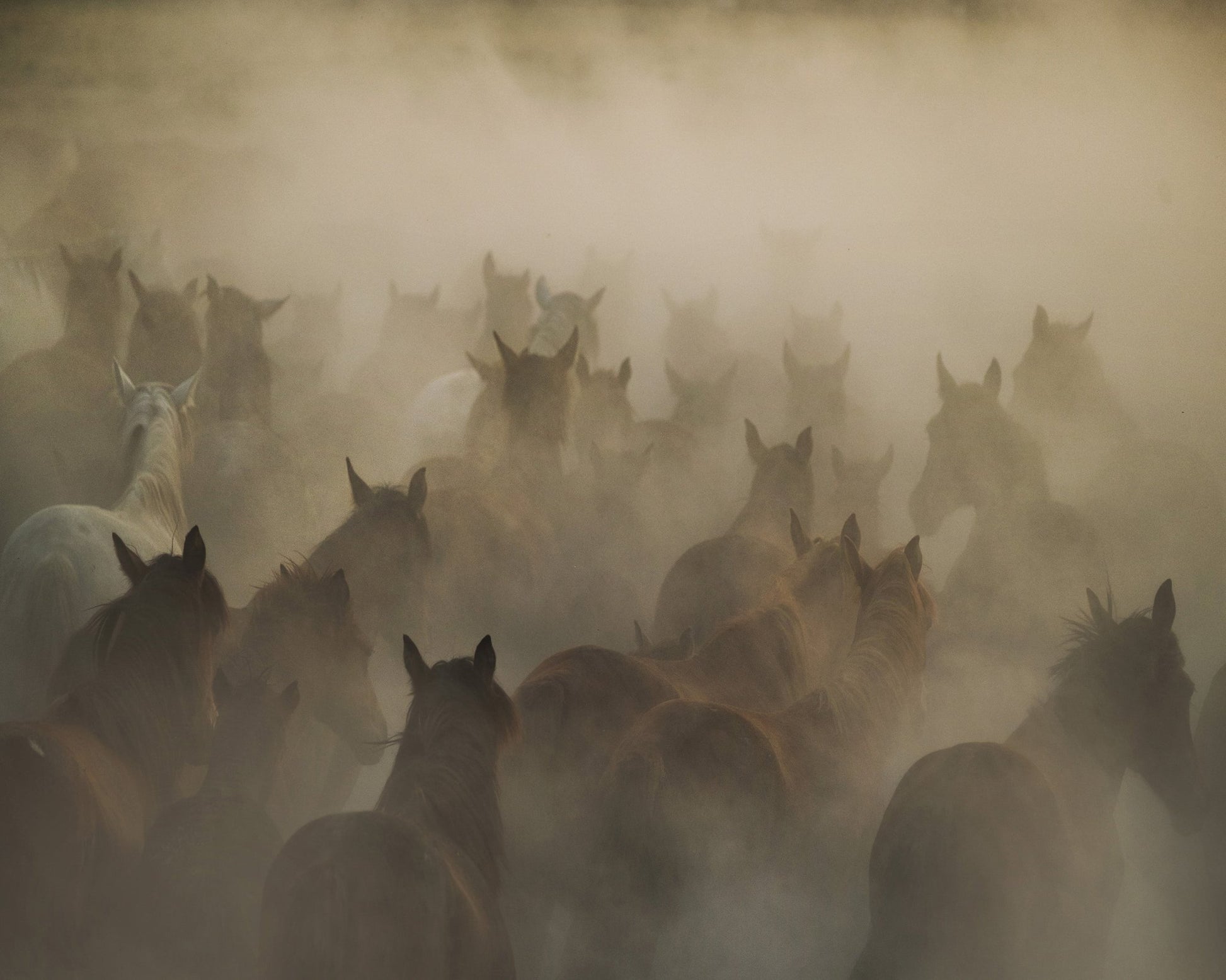 In Dust