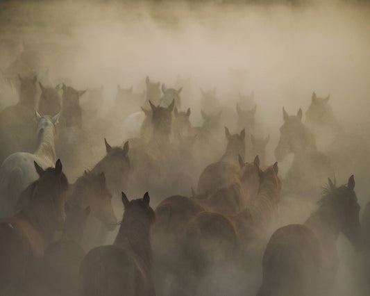 In Dust