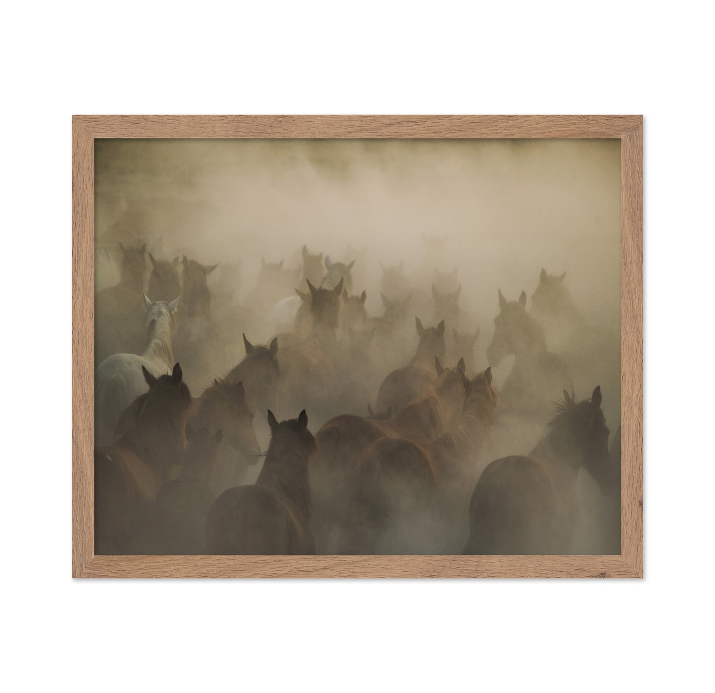 In Dust