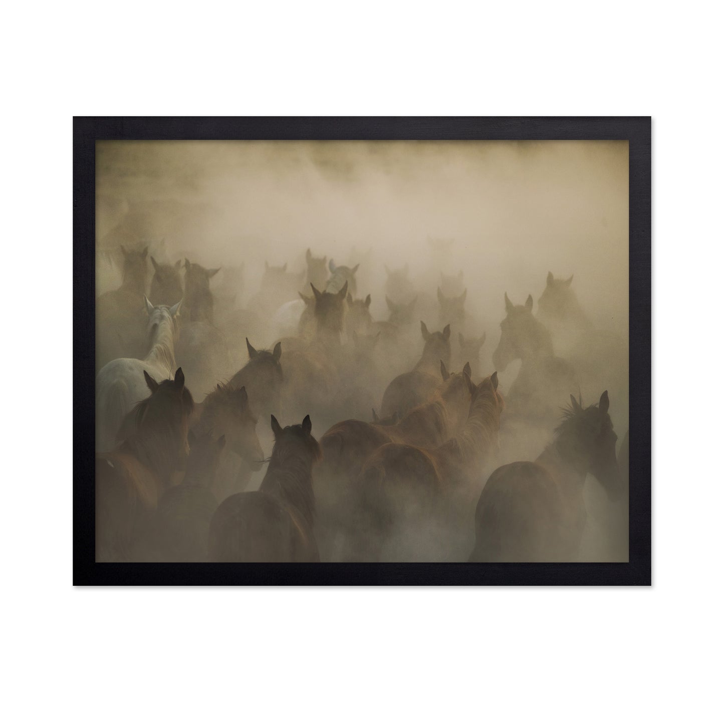 In Dust
