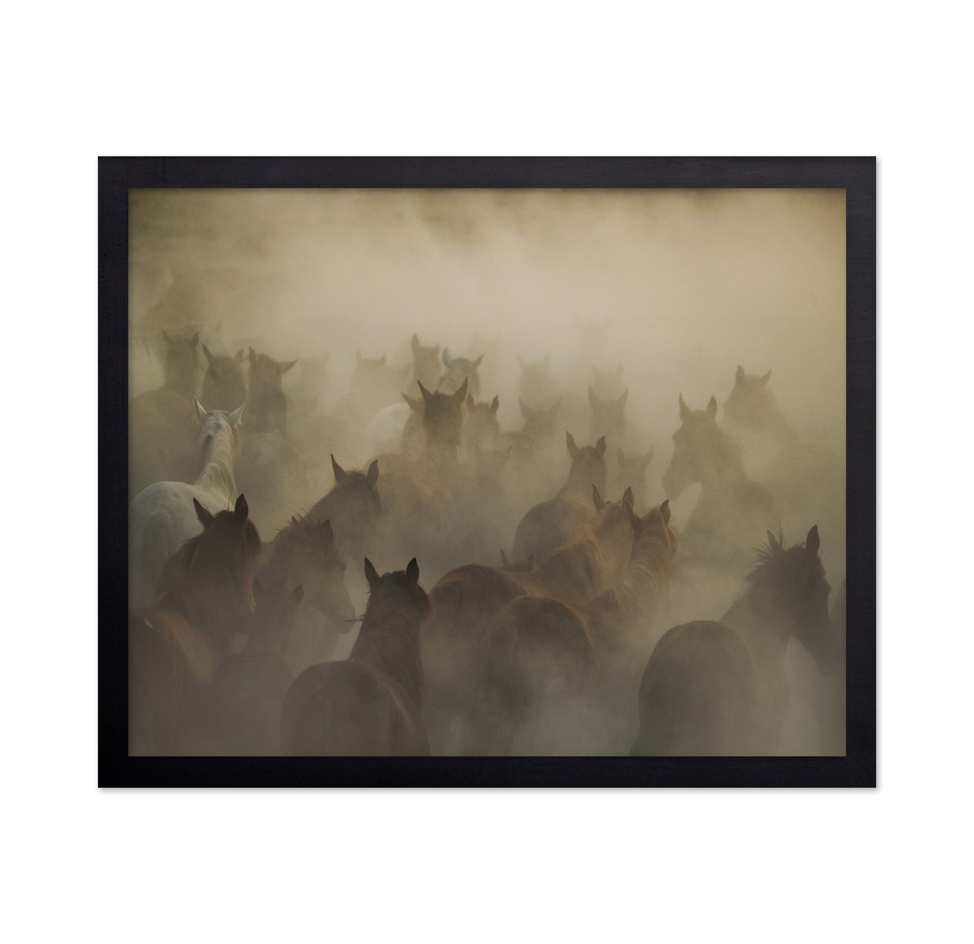 In Dust