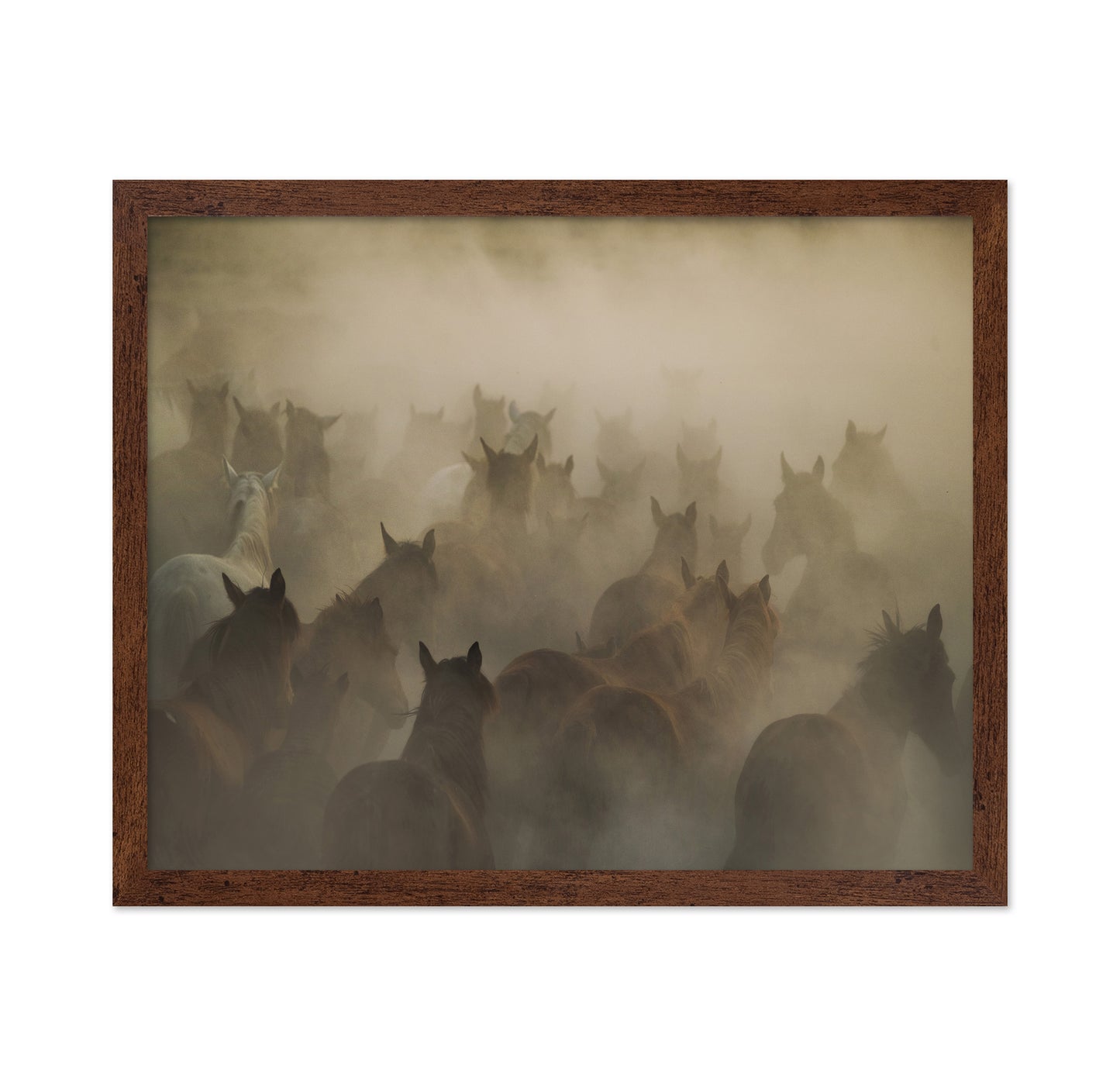In Dust