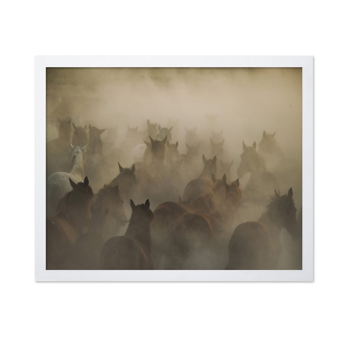 In Dust