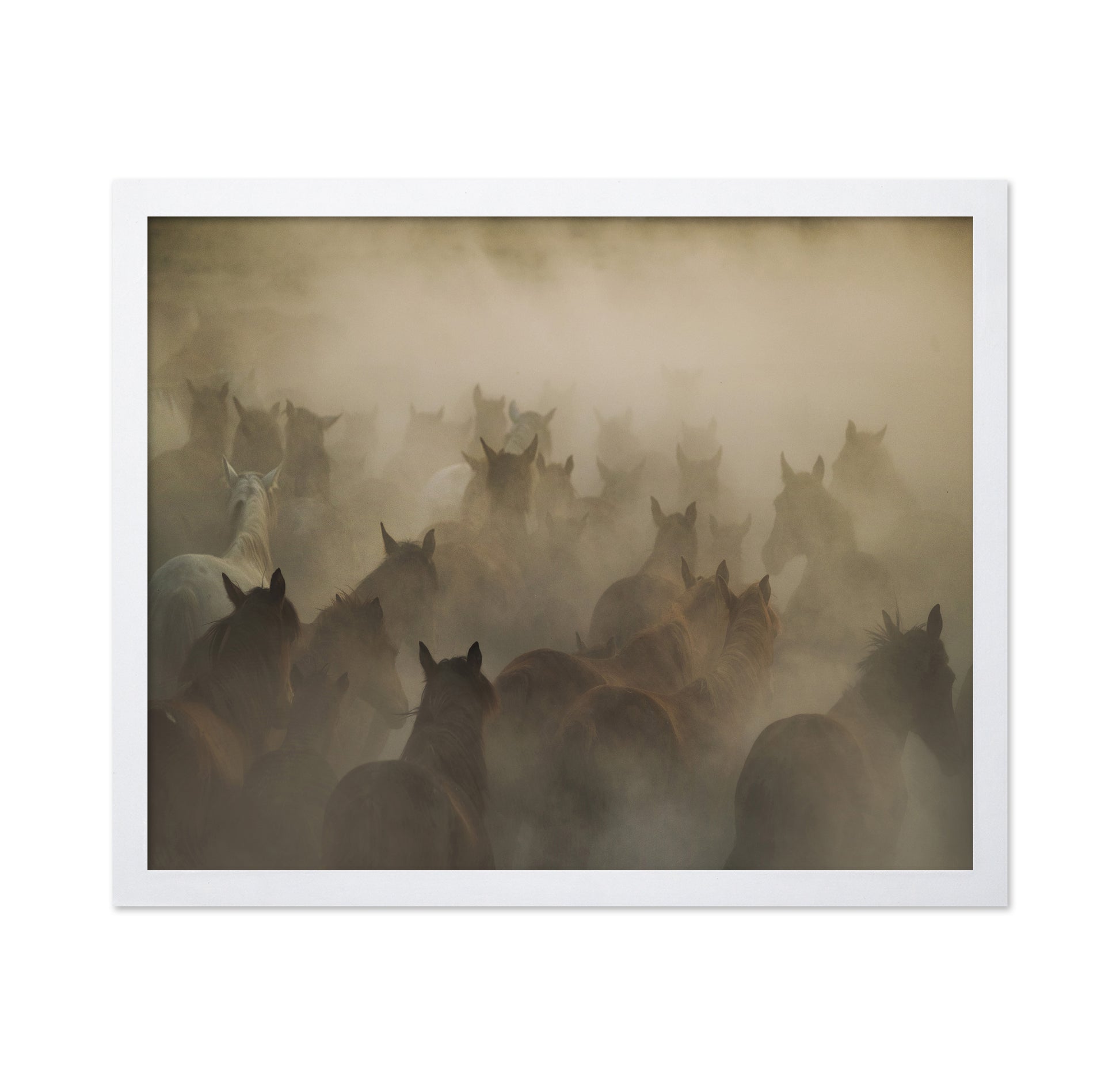 In Dust