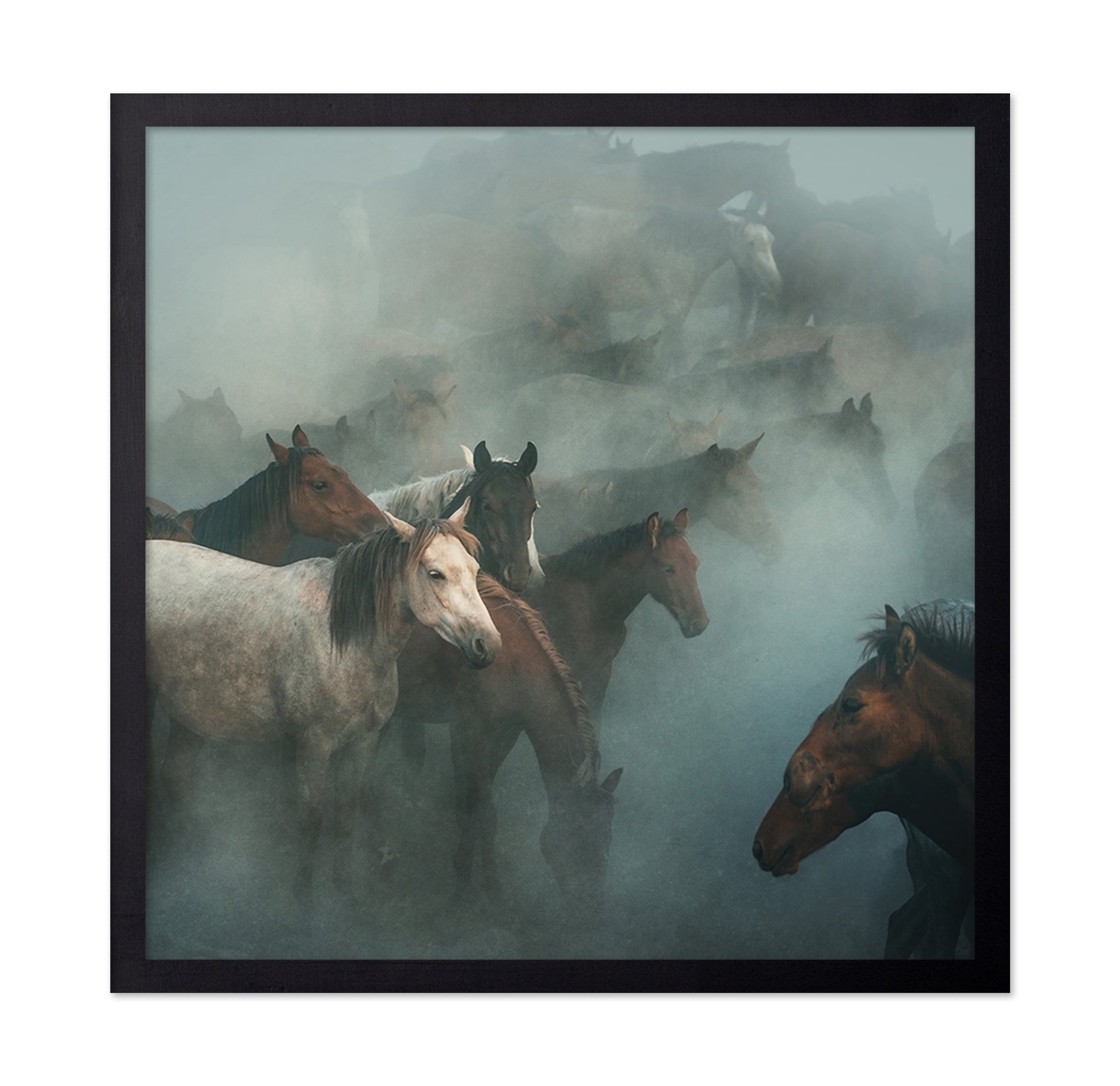 Lost Horses