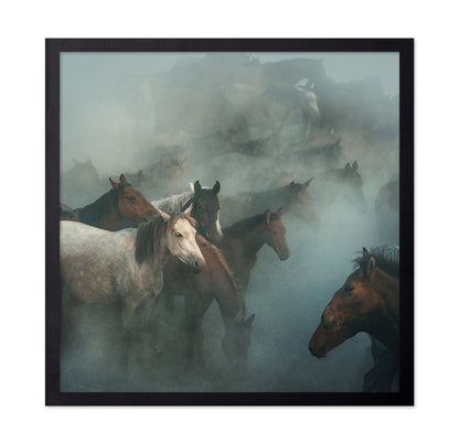 Lost Horses