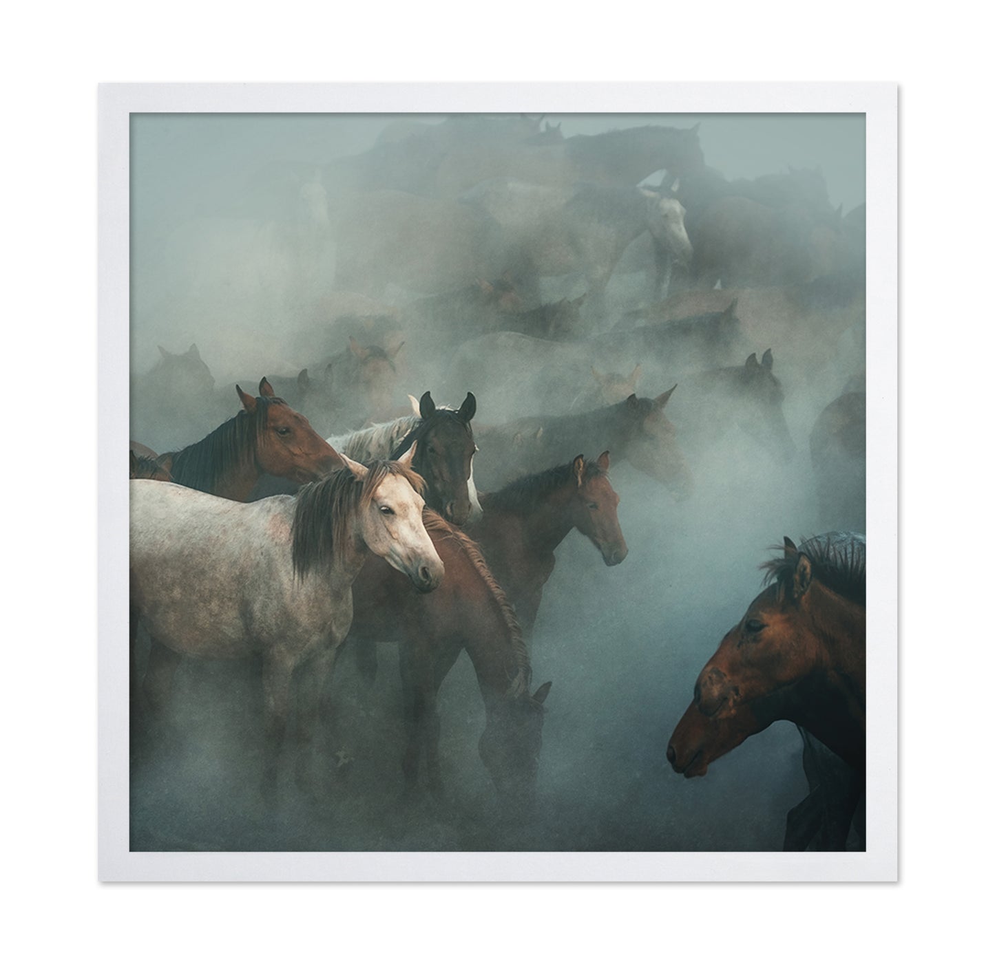 Lost Horses