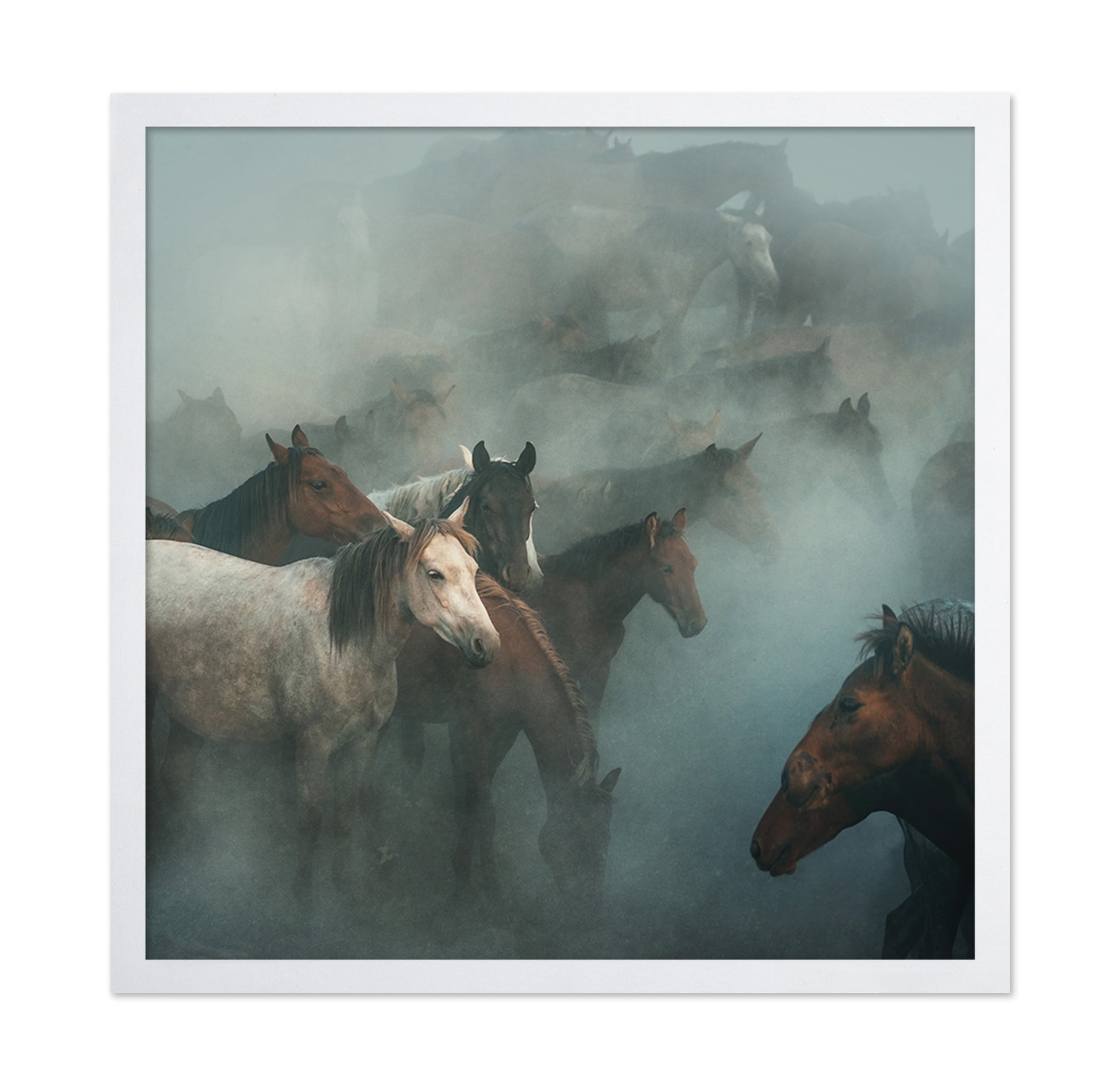 Lost Horses