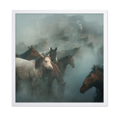 Lost Horses