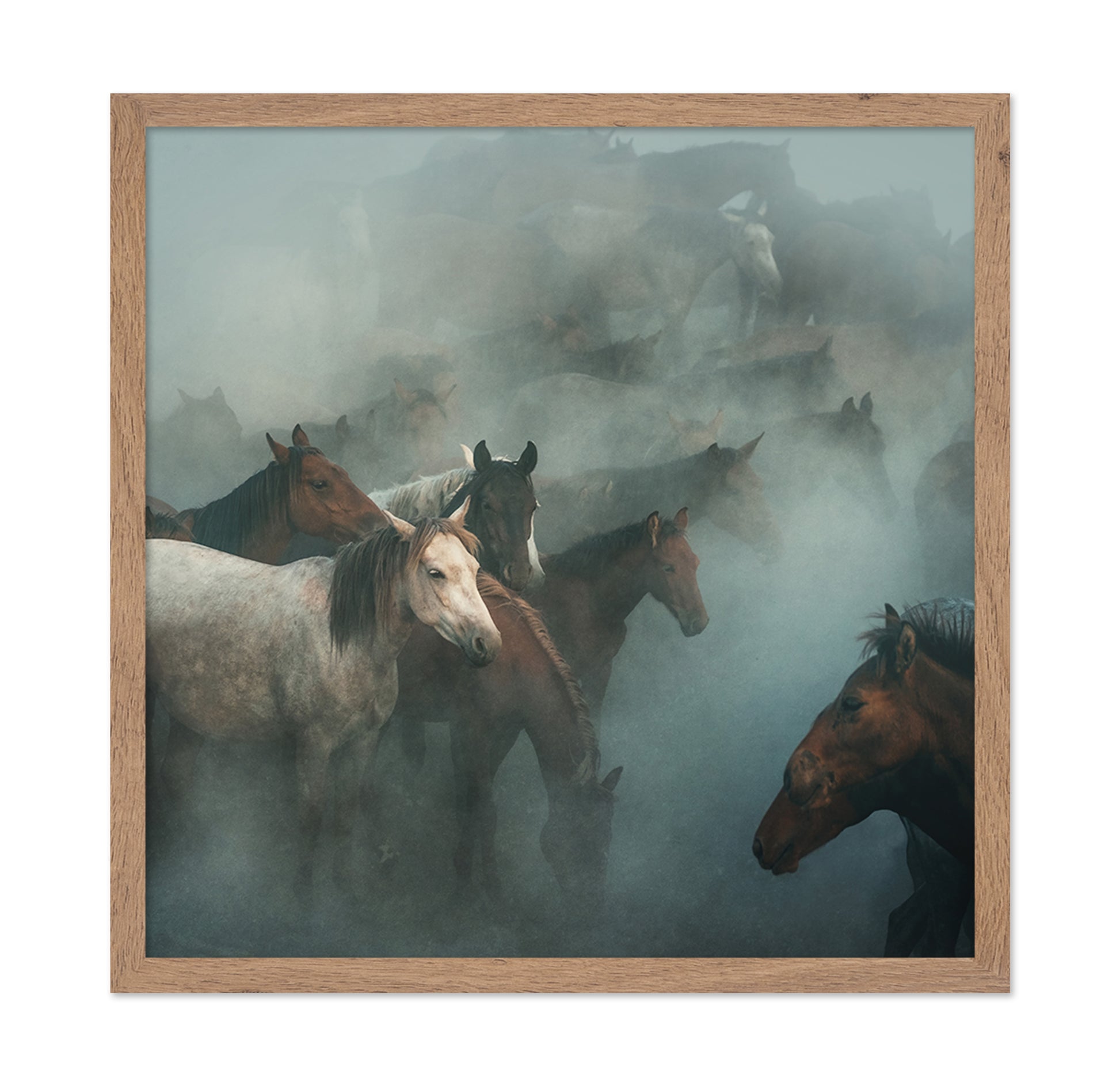Lost Horses