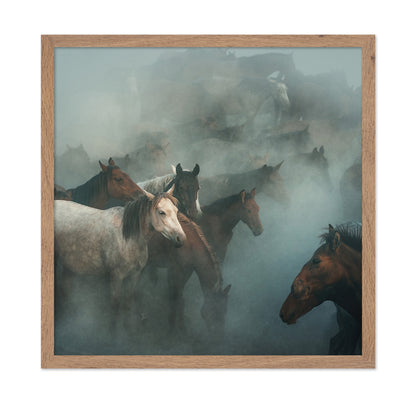 Lost Horses
