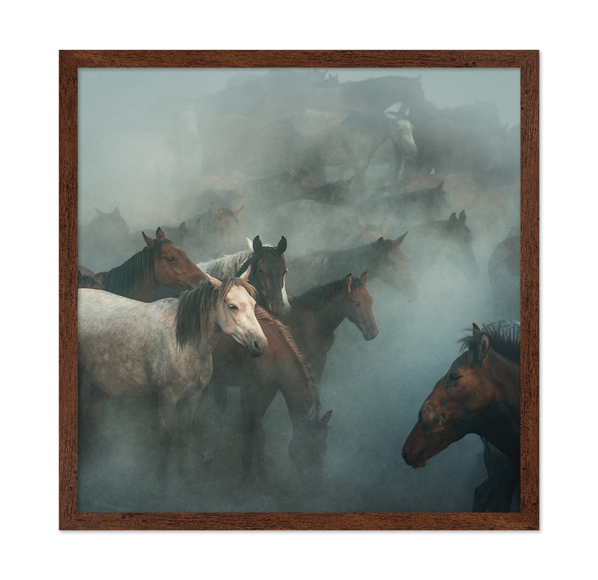 Lost Horses