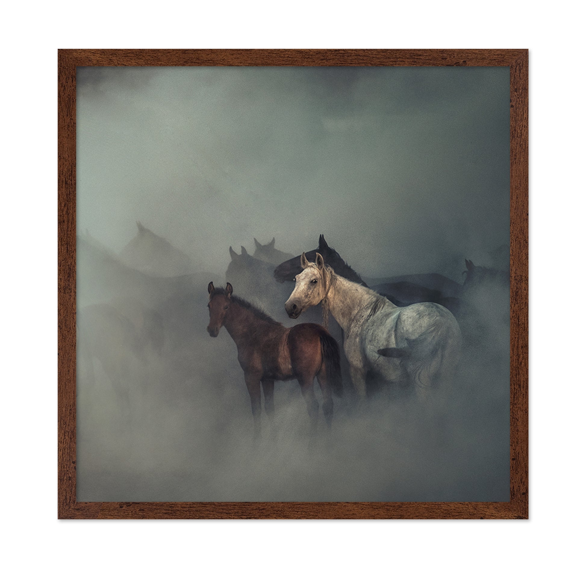 The Lost Horses