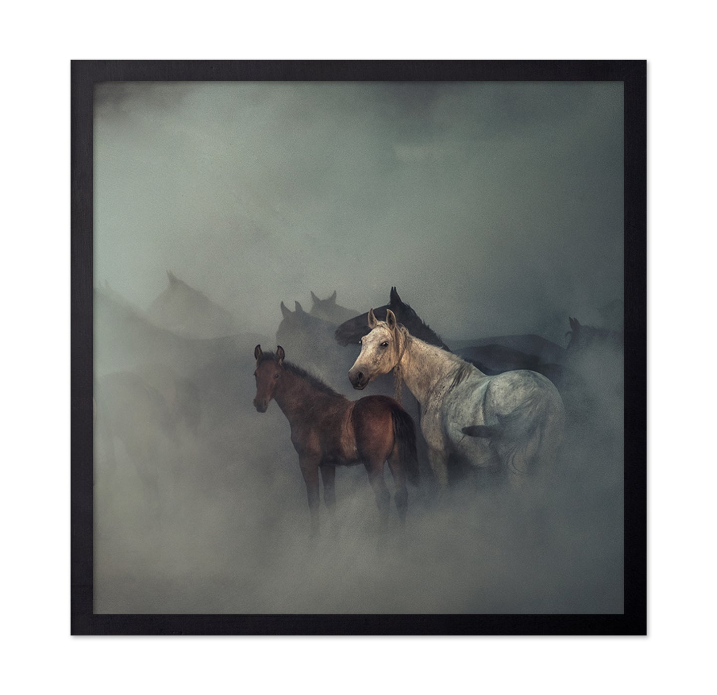 The Lost Horses