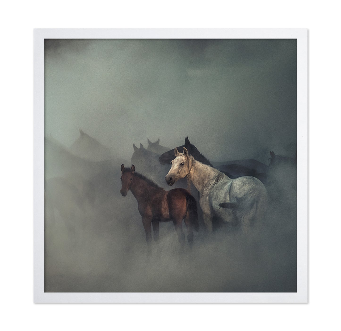 The Lost Horses