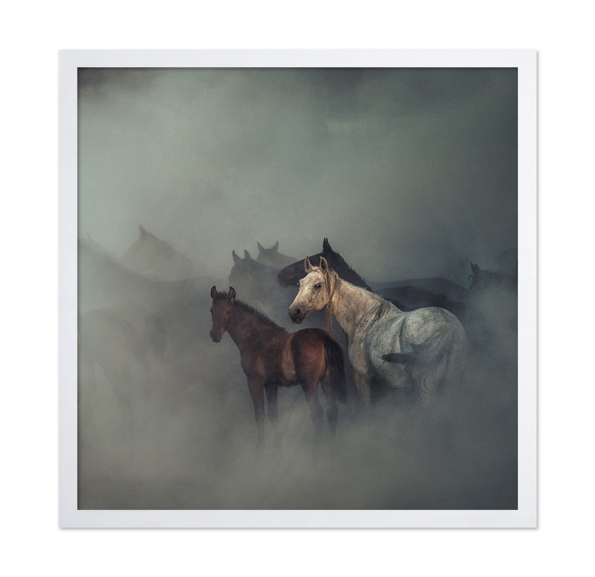 The Lost Horses