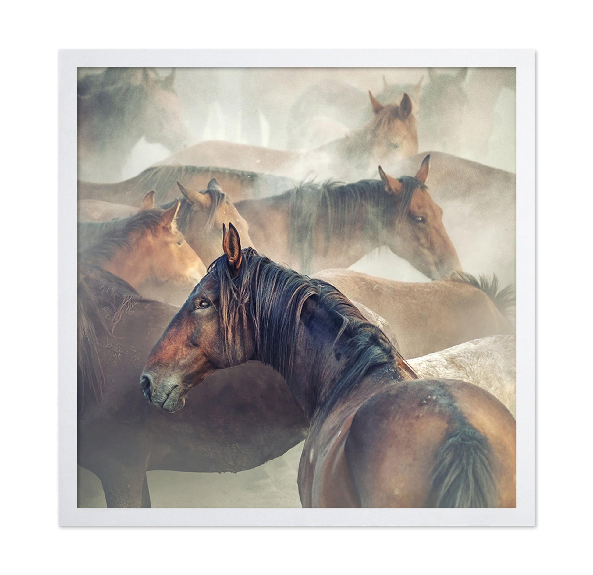 Tired Horses