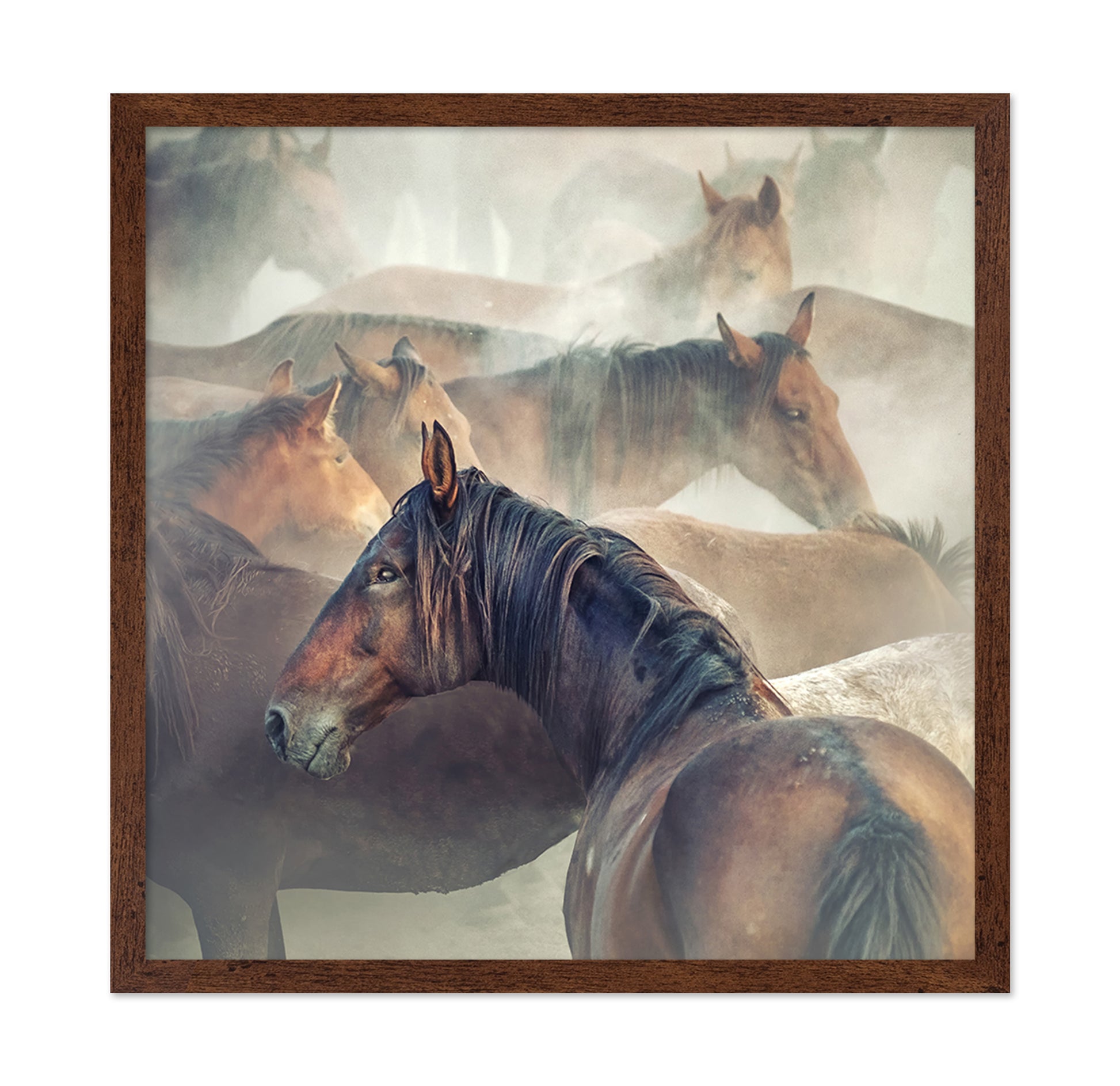Tired Horses