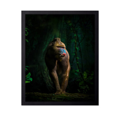 Trees And Beasts